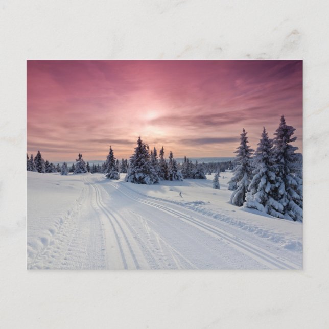 Ice & Snow | Lillehammer, Norway Postcard (Front)