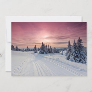 Ice & Snow Lillehammer, Norway Thank You Card