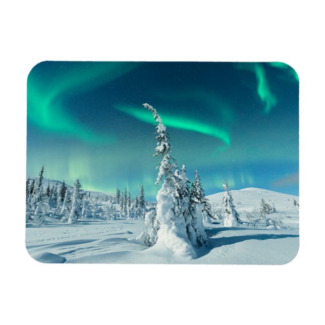 Ice & Snow | Northern Lights, Lapland, Finland Magnet (Horizontal)