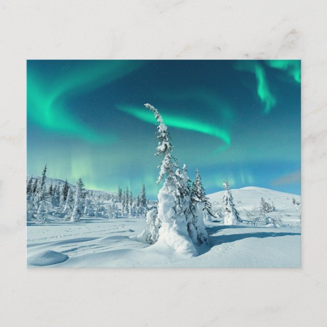Ice & Snow | Northern Lights, Lapland, Finland Postcard (Front)