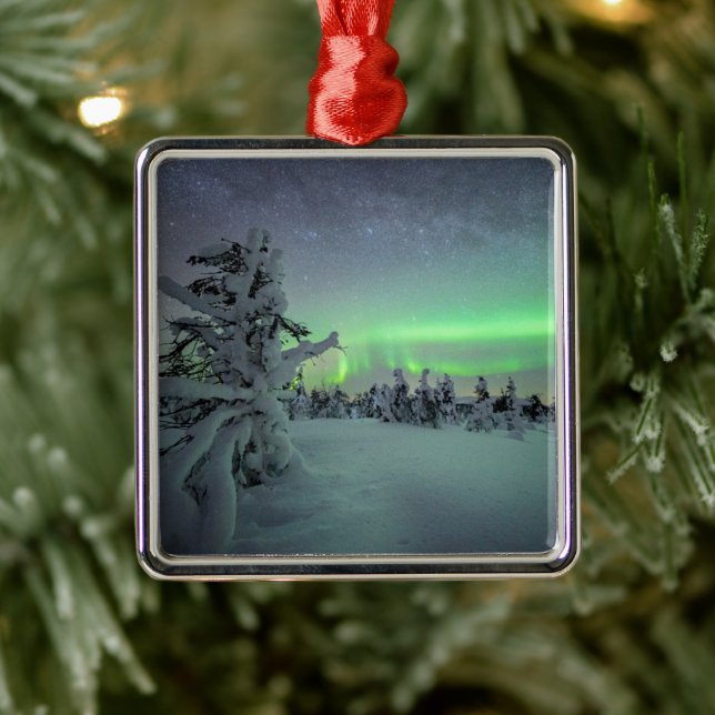 Ice & Snow | Pallas-Yllastunturi National Park Metal Ornament (Tree)