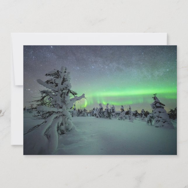 Ice & Snow | Pallas-Yllastunturi National Park Thank You Card (Front)