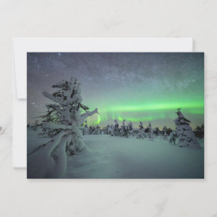 Ice & Snow   Pallas-Yllastunturi National Park Thank You Card