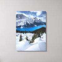 Ice & Snow | Peyto Lake, Canadian Rockies