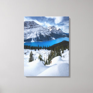 Ice & Snow   Peyto Lake, Canadian Rockies Canvas Print