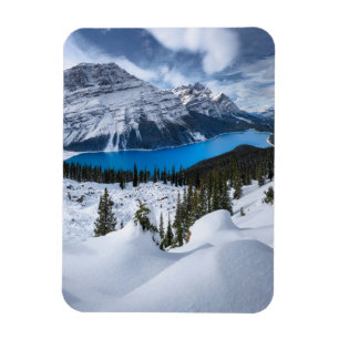 Ice & Snow   Peyto Lake, Canadian Rockies Magnet