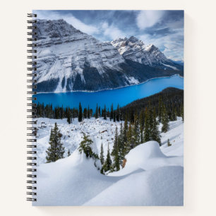 Ice & Snow Peyto Lake, Canadian Rockies Notebook