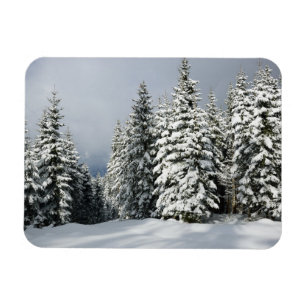 Ice & Snow Pine Woodland, Austria Magnet