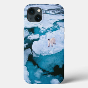 Ice & Snow   Polar Bear, Arctic Ocean, Svalbard iPhone 13 Case