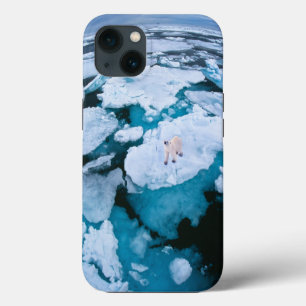 Ice & Snow   Polar Bear, Arctic Ocean, Svalbard iPhone 13 Case