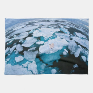 Ice & Snow   Polar Bear, Arctic Ocean, Svalbard Kitchen Towel