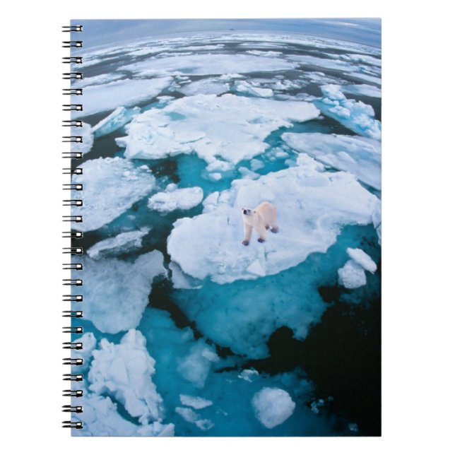 Ice & Snow | Polar Bear, Arctic Ocean, Svalbard Notebook (Front)