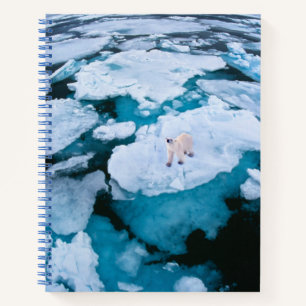 Ice & Snow Polar Bear, Arctic Ocean, Svalbard Notebook
