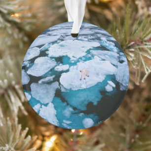 Ice & Snow   Polar Bear, Arctic Ocean, Svalbard Ornament