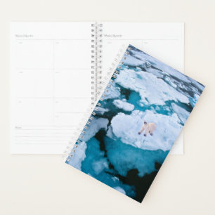 Ice & Snow Polar Bear, Arctic Ocean, Svalbard Planner