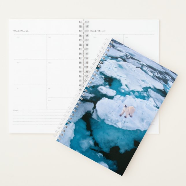 Ice & Snow | Polar Bear, Arctic Ocean, Svalbard Planner (Display)