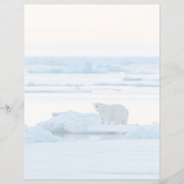 Ice & Snow | Polar Bear Iceberg Norway (Front)