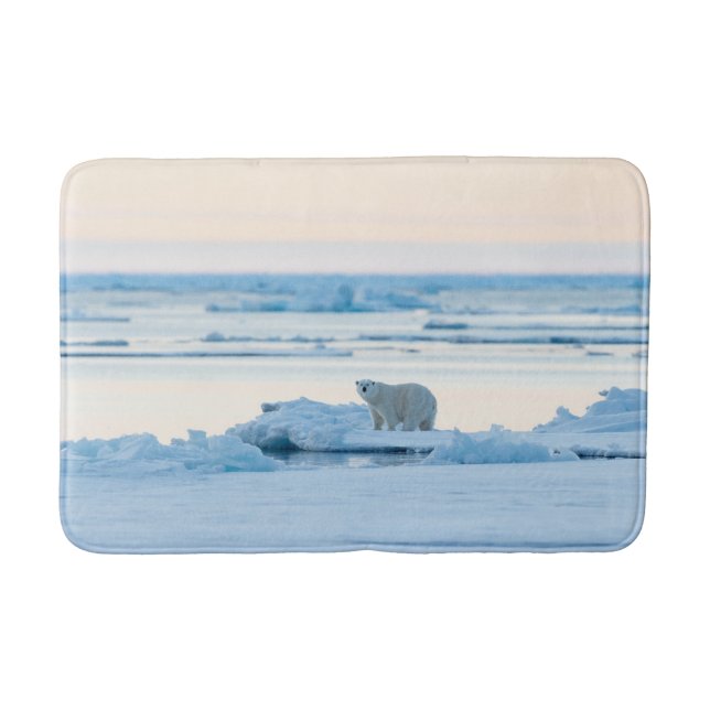 Ice & Snow | Polar Bear Iceberg Norway Bath Mat (Front)