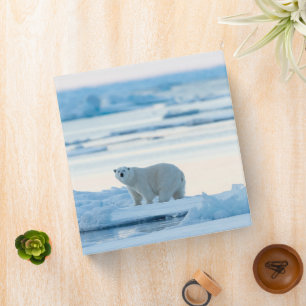 Ice & Snow   Polar Bear Iceberg Norway Binder