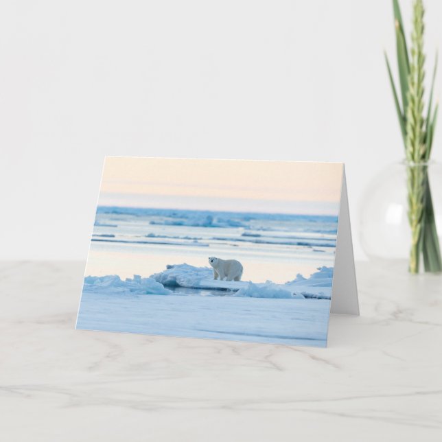Ice & Snow | Polar Bear Iceberg Norway Card (Front)