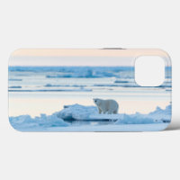 Ice & Snow | Polar Bear Iceberg Norway