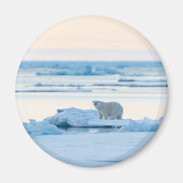 Ice & Snow | Polar Bear Iceberg Norway Magnet (Front)