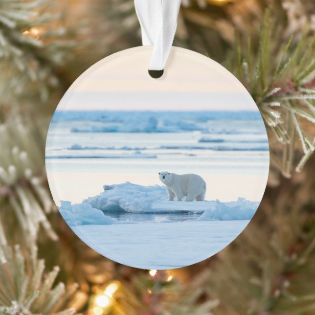 Ice & Snow | Polar Bear Iceberg Norway Ornament (Tree)