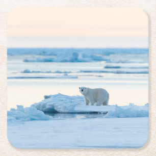 Ice & Snow Polar Bear Iceberg Norway Square Paper Coaster