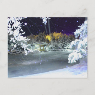 Ice-Snow-pond Postcard