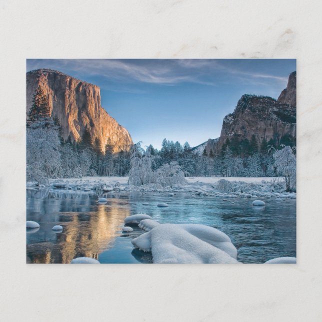 Ice & Snow | Rime Ice in Yosemite Valley Postcard (Front)