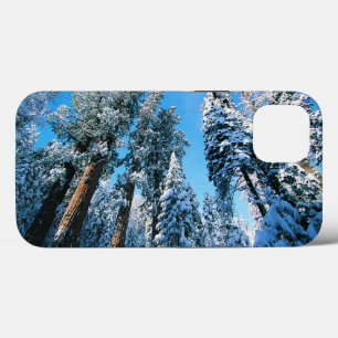 Ice & Snow   Sequoia National Park, California iPhone 13 Case
