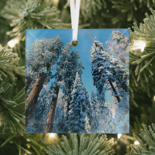 Ice & Snow   Sequoia National Park, California Glass Ornament