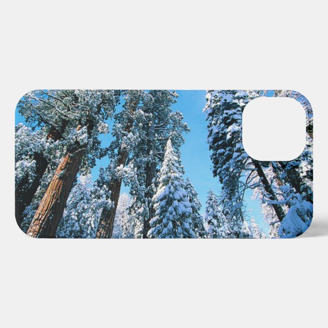 Ice & Snow | Sequoia National Park, California iPhone Case (Back Horizontal)
