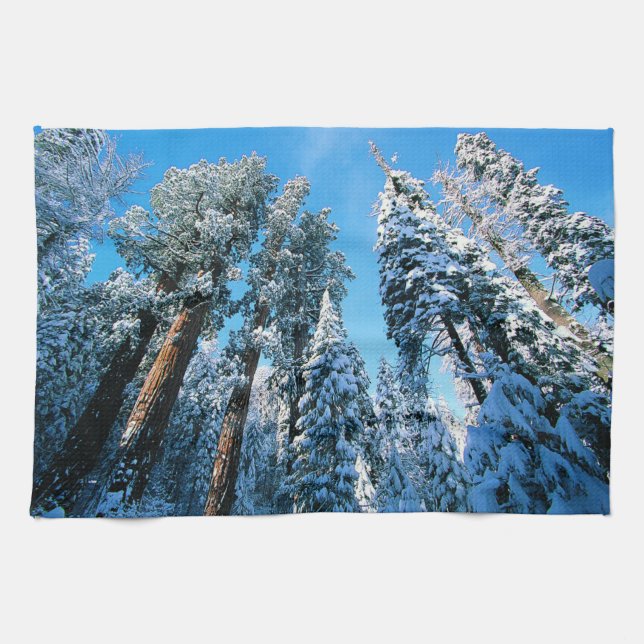 Ice & Snow | Sequoia National Park, California Kitchen Towel (Horizontal)