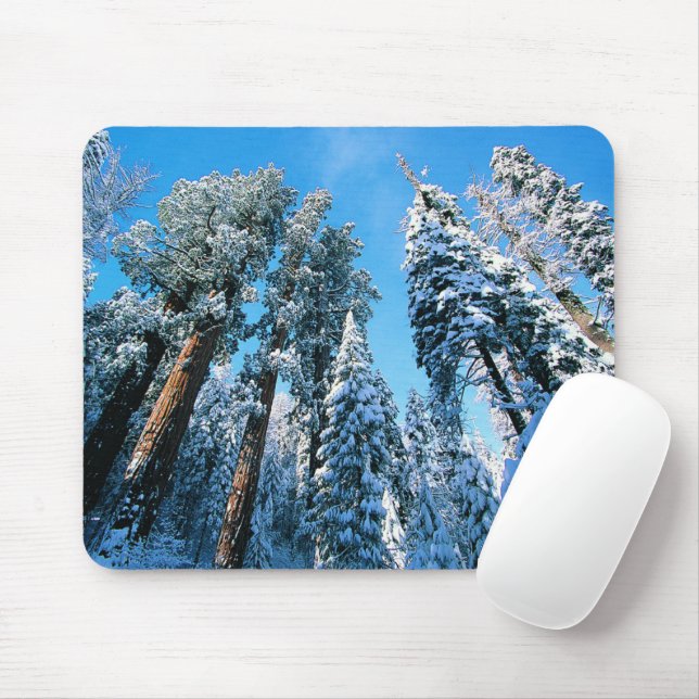 Ice & Snow | Sequoia National Park, California Mouse Pad (With Mouse)