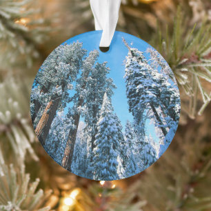 Ice & Snow Sequoia National Park, California Ornament