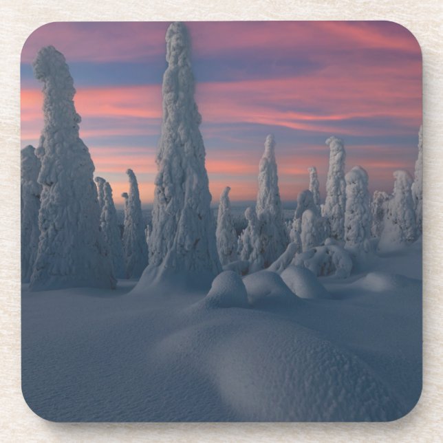 Ice & Snow | Snow Covered Trees, Lapland, Finland Coaster (Front)