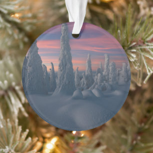 Ice & Snow Snow Covered Trees, Lapland, Finland Ornament