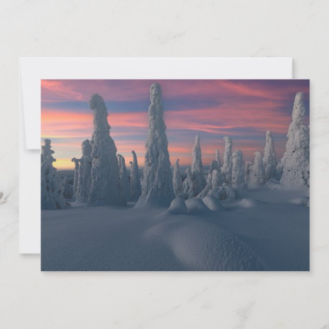 Ice & Snow | Snow Covered Trees, Lapland, Finland Thank You Card (Front)