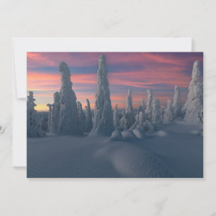 Ice & Snow Snow Covered Trees, Lapland, Finland Thank You Card
