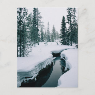 Ice & Snow   Stream in a Snowy Winter Landscape Postcard