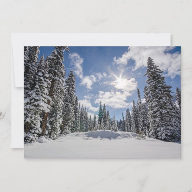 Ice & Snow | Sunrise Winter Snow Alberta, Canada Thank You Card (Front)