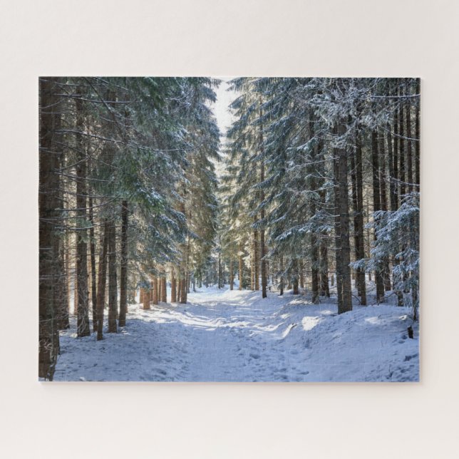 Ice & Snow | Tatra Mountains, Poland Jigsaw Puzzle (Horizontal)