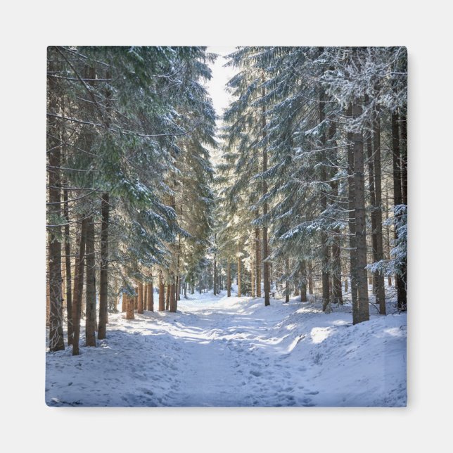 Ice & Snow | Tatra Mountains, Poland Magnet (Front)