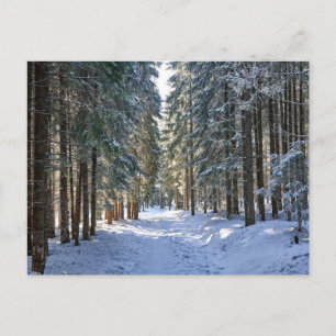 Ice & Snow   Tatra Mountains, Poland Postcard