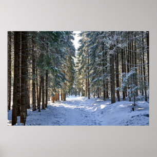 Ice & Snow   Tatra Mountains, Poland Poster