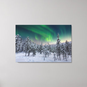 Ice & Snow Winter Landscape, Finland Canvas Print