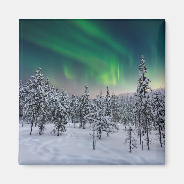 Ice & Snow | Winter Landscape, Finland Magnet (Front)