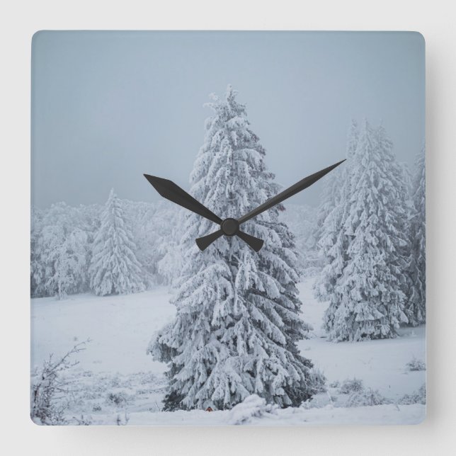 Ice & Snow | Woodland, Swiss Alps Square Wall Clock (Front)