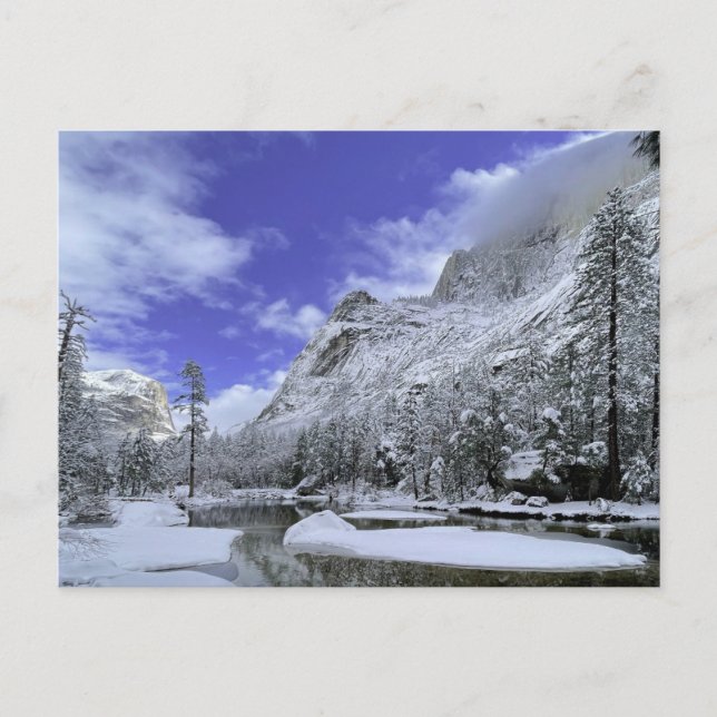 Ice & Snow | Yosemite National Park Postcard (Front)